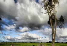 世预赛欧洲区最新战况如何？豪强厮杀、黑马涌现亮点多！